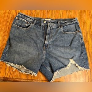 Size 14/32 Abercrombie & Fitch The Mom Short High Rise